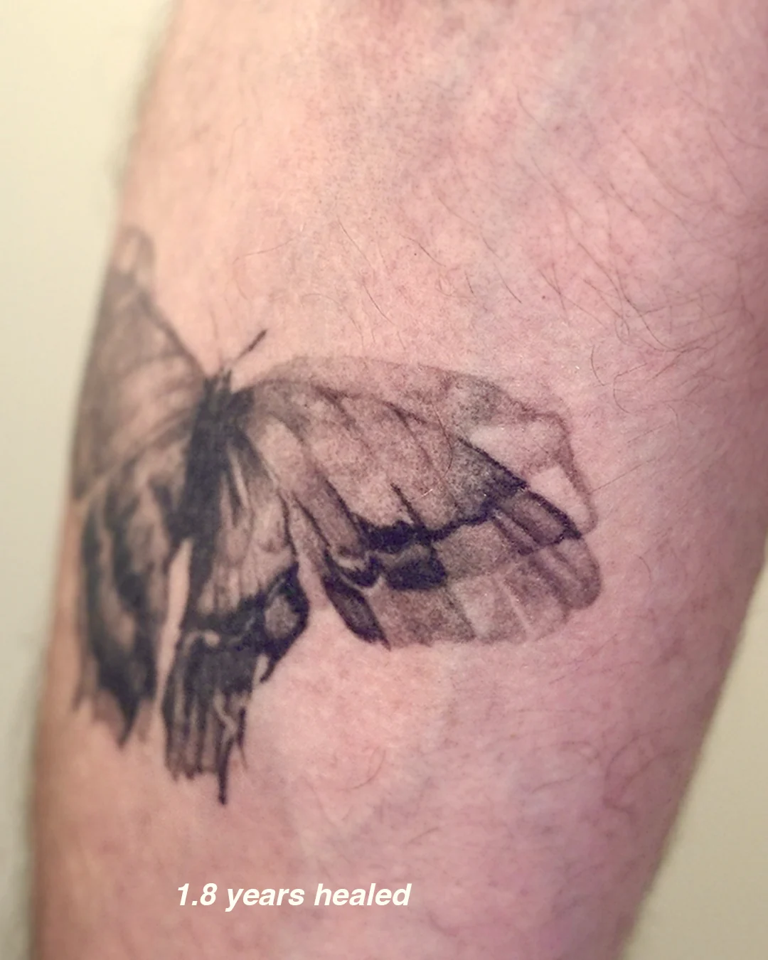 Black and grey realism butterfly with a hidden skull, healed