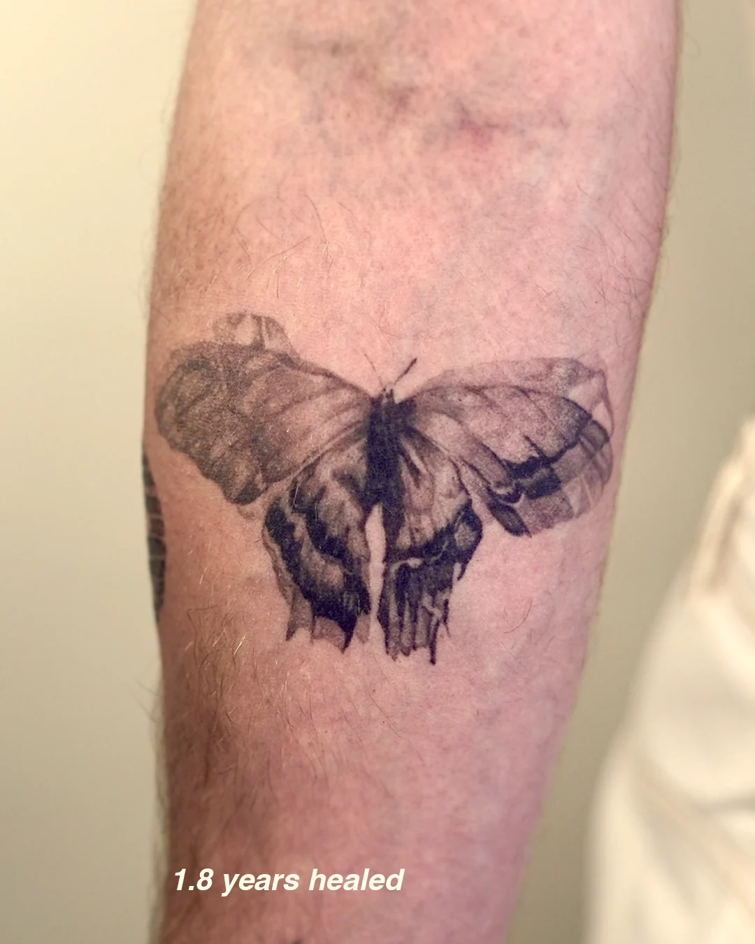 Detail of the butterfly-and-skull realism tattoo, healed