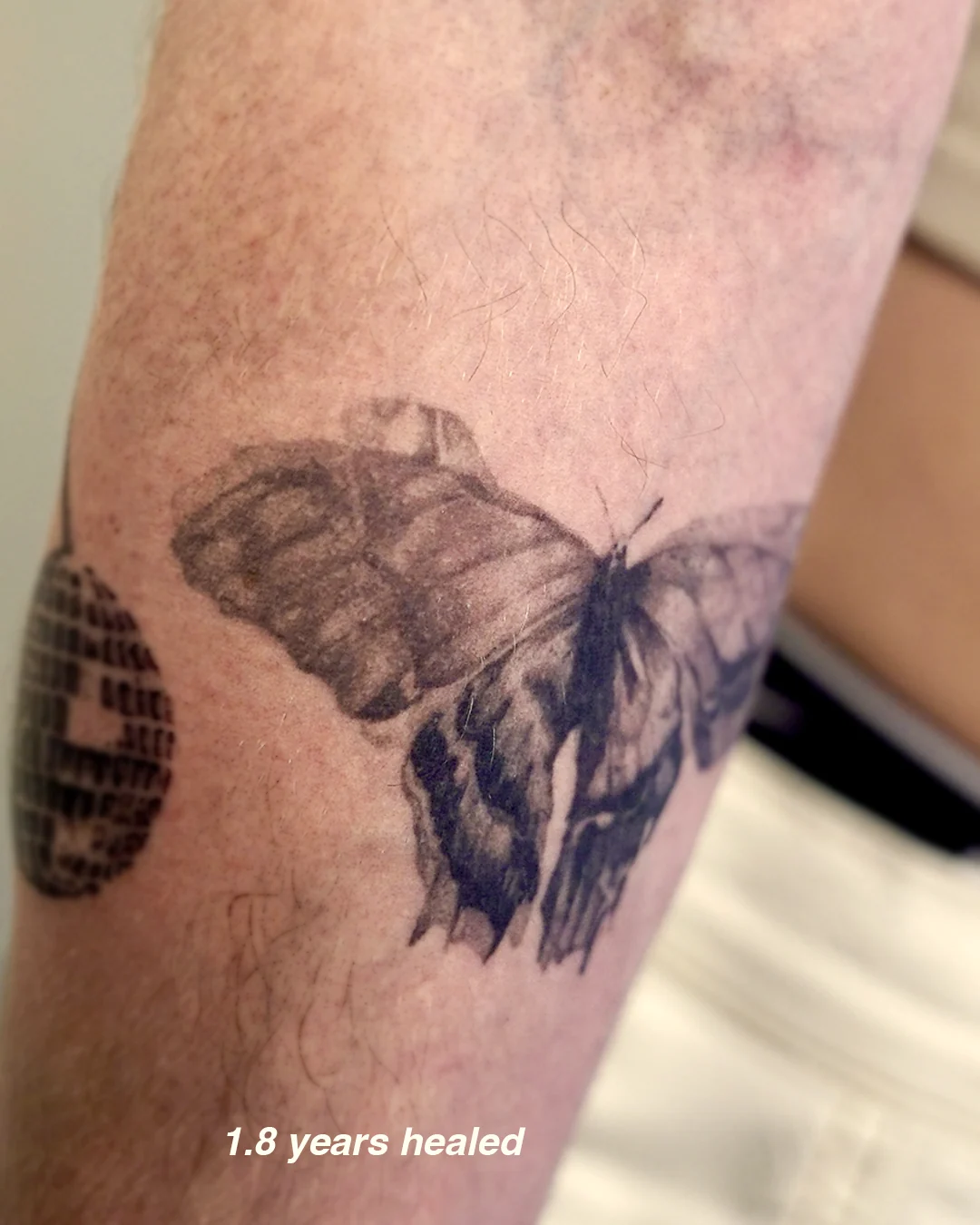 Black and grey realism moth with a hidden skull, healed almost two years